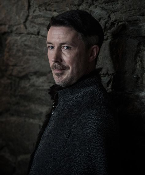 Lord Baelish, Petyr Baelish, Game Of Thrones Facts, Hand Of The King, Aidan Gillen, Faceless Men, Game Of Thrones Funny, Got Memes, Gra O Tron