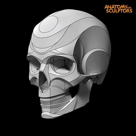 ArtStation - Female skull - block out, Anatomy For Sculptors Anatomy Books For Artists, Human Skull Anatomy, Anatomy For Sculptors, Female Skull, Human Anatomy Reference, Human Anatomy For Artists, Skull Anatomy, Skull Reference, Skull Sketch