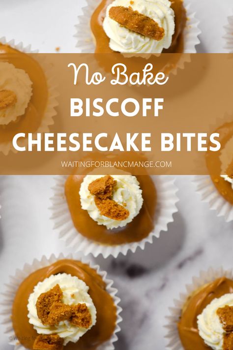 Mini biscoff cheesecakes. Cookie Butter Cheesecake Bites, Mini Cookie Butter Cheesecake, Easy Biscoff Cheesecake, No Bake Biscoff Cheesecake Cups, Biscoff Mini Cheesecake, Biscoff Bites, Mini Biscoff Cheesecake, Biscoff Cheesecake Cups, No Bake Biscoff Cheesecake