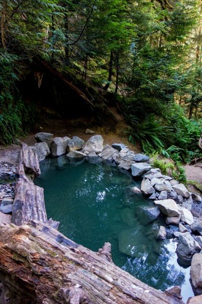 Olympic Hot Springs (Olympic National Park) | PNWPeaks Port Angeles Washington Things To Do, Olympic National Park Hikes, Washington Adventures, Washington Road Trip, Port Angeles Washington, Hiking Usa, Healing Water, Washington Trip, Olympic National Forest