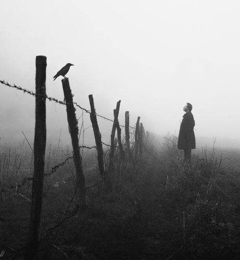 Gabriel Guerrero The Fog, Cinematic Photography, Dark Photography, Black White Photos, White Photo, Black And White Photography, Dark Aesthetic, Dark Art, Dark Fantasy