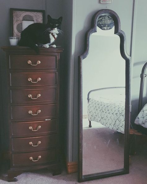 Jasmin & (occasionally) CT on Instagram: “Appreciation post on my beautiful tall boy drawers that I got for an amazing price and also my  beautiful long mirror! .  I literally…” Tall Boy Drawers, Long Mirror, Tall Boy, Tall Boys, Appreciation Post, Drawers, Mirror, Furniture, On Instagram