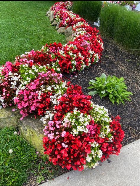 Landscaping Entrance, Mailbox Garden, Garden Aesthetics, Small Flower Gardens, Front Lawn Landscaping, Gardening Decor, Front Garden Landscape, Rock Garden Design, Garden Vegetables