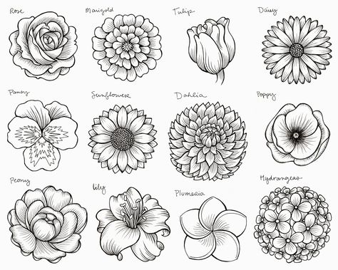 Draw Outline, Outline Flowers, Simple Flower Drawing, Drawing Base Poses, Doodle Art Flowers, Drawing Ideas Color, Drawing Quotes Creativity, Drawing Pencil Sketches, Flower Drawing Tutorials