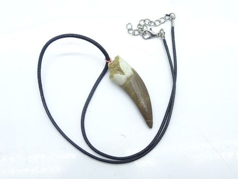 pleiosaurus tooth in pendant Teeth Necklace, Tooth Pendant, Fish Fossil, Trilobite Fossil, Fossil Teeth, Tooth Necklace, Dinosaur Fossils, Prehistoric Creatures, Reptiles