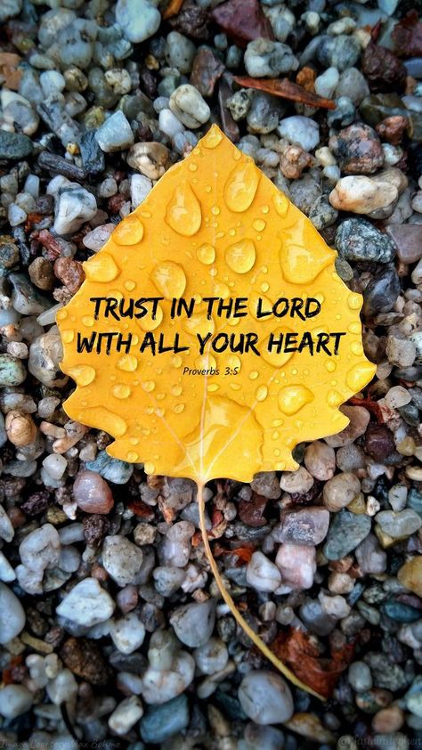 English Bible Verse Image, Verse Bible Wallpaper, Proverbs 3:5, Bible Words In English, English Bible Verses, Proverbs Scriptures, Faith Wallpaper, Angel Guides, Bible Verses Phone Wallpaper