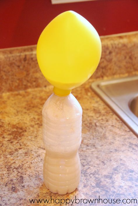 Blow up a balloon with sugar and yeast. This easy balloon science experiment will have kids wanting to do it again. Perfect for an easy science fair project. Yeast Experiments For Kids, Balloon Experiments For Kids, Yeast Balloon Experiment, Inflating Balloon Experiment, Balloon Static Electricity Experiment, Easy Science Fair Projects, Harry Potter Weekend, Balloon Science Experiments, Balloon Experiment