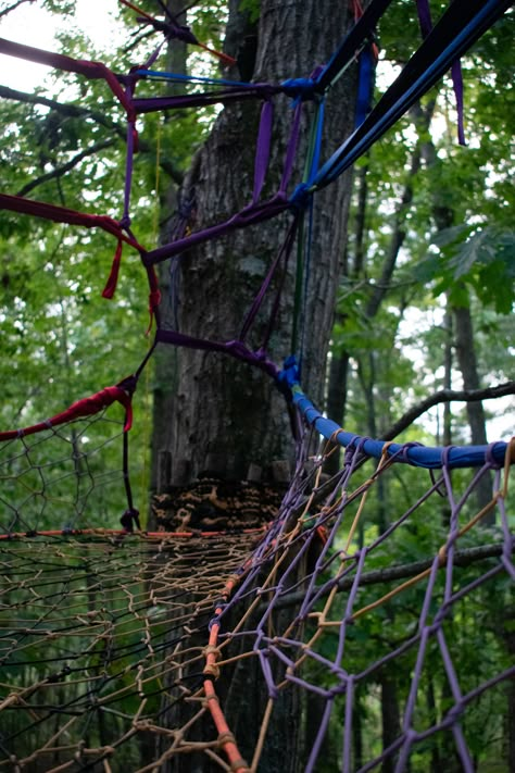 Portfolio — Tree Weaves How To Climb A Tree, Tree Webbing, Woods Hangout Spot, Tree Weave, Paracord Weaving, Tactical Ideas, Tree Net, Pohutukawa Tree, Branch Weaving