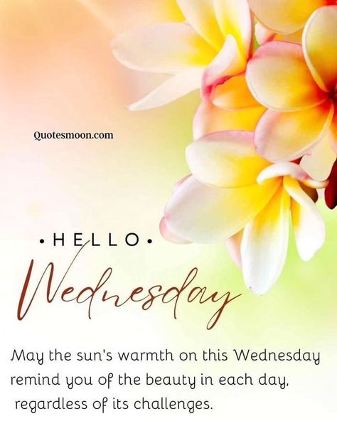 Wednesday Morning Quotes Inspirational, Wednesday Blessings Mornings, Blessed Wednesday Good Morning, Wednesday Blessings Inspiration, Blessings For Wednesday, Have A Blessed Wednesday, Good Morning Wednesday Blessings, Happy Wednesday Blessings, Wednesday Morning Images