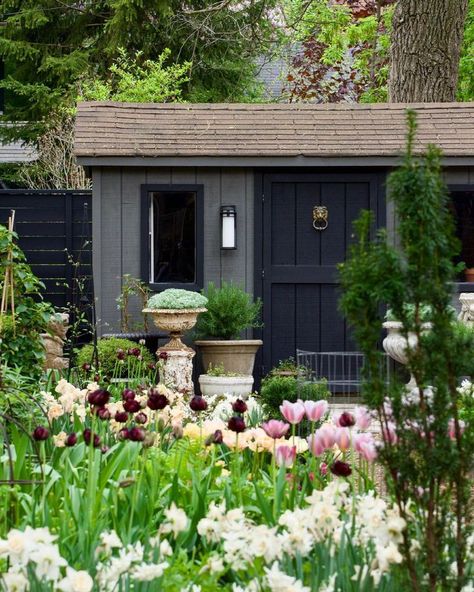 Dreamy Potting Shed - Modern Farmhouse Backyard - Charcoal Black Potting Shed Modern Farmhouse Backyard, Green Shed, Shed Inspiration, Diy Tiny House Plans, Texas Interior Design, Dreamy Backyard, Black Shed, Cottage Garden Sheds, Farmhouse Backyard