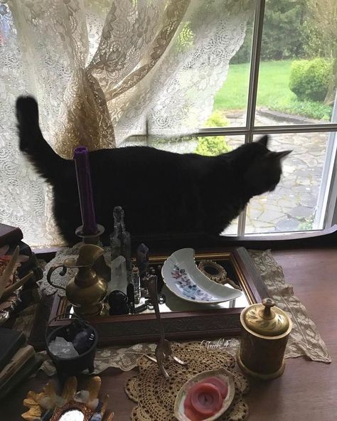 Witch Core, Cottage Witch, Full Moon Night, Magic Aesthetic, Modern Witch, A Black Cat, Season Of The Witch, Witch Aesthetic, Practical Magic