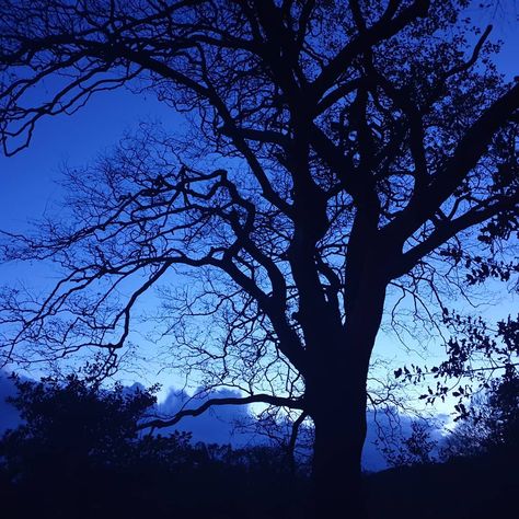 ONeil’s Instagram profile post: “Ultramarine-blue evening light. #woottonfitzpaine #charmouth #silhouette #eveninglight #enchanting #blueultramarine #dorsetsky #dorset” Ultramarine Blue Aesthetic, See World, Ultramarine Blue, Evening Light, Blue Aesthetic, Blue Eyes, The Dreamers, Beautiful Places, Instagram Profile