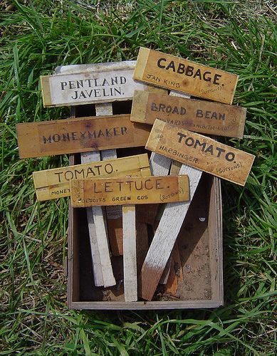 Home made wooden plant labels by Marj Joly, via Flickr Cheap Greenhouse, Garden Plant Markers, Modern Greenhouses, Garden Labels, Potager Garden, Backyard Greenhouse, Small Greenhouse, Handmade Plant, Plant Labels