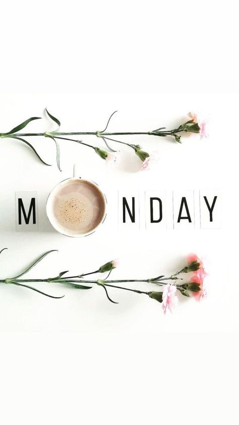 Morning Positive Affirmations, Monday Aesthetic, Good Morning Positive, Ideas For Instagram Stories, Good Morning Gift, Good Morning Monday, Ideas For Instagram, Good Morning Post, Good Monday