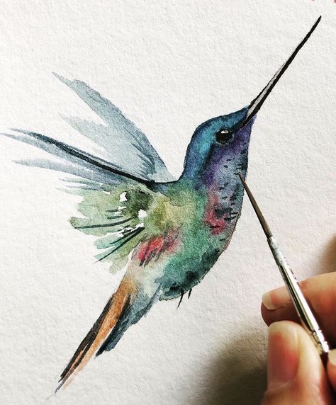 Goth Tatoos, Dragon Tattoo Ideas, Bird Watercolor Art, Animal Tattoo Ideas, Watercolor Hummingbird, Hummingbird Painting, Bird Watercolor Paintings, Hummingbird Art, Watercolor Paintings For Beginners