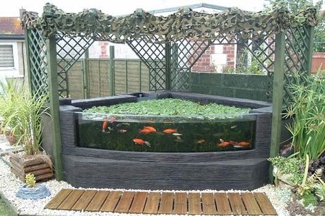 Above Ground Fish Pond Designs – redboth.com Raised Koi Pond, Outdoor Fish Tank, Above Ground Pond, Raised Pond, Swimming Pool Pond, Fish Pond Gardens, Kolam Air, Kolam Koi, Taman Air