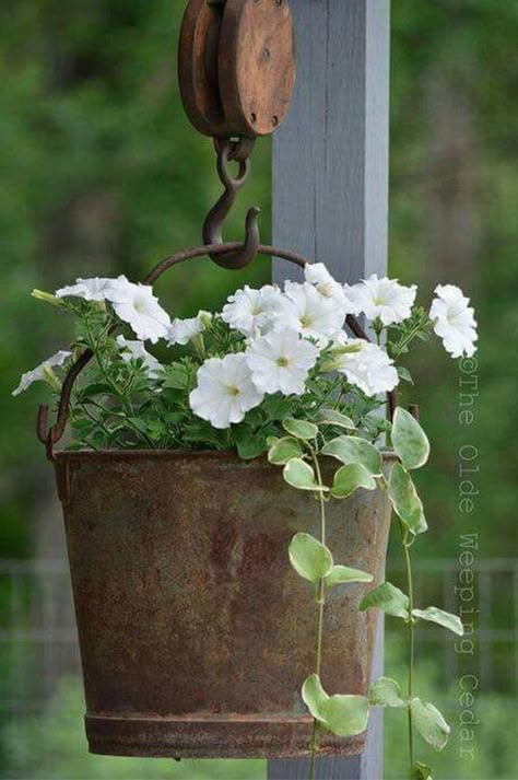 Taman Vintage, Container Planting, Country Garden Decor, Flowers Hanging, نباتات منزلية, Vintage Gardening, Farmhouse Landscaping, Primitive Fall, Vintage Garden Decor