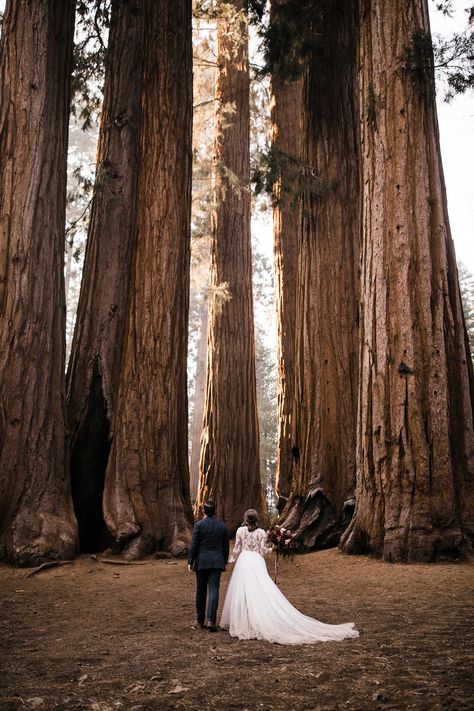 Sequoia National Park Elopement Photographer Epic Elopement, Unusual Wedding Venues, Elopement Destinations, Forest Elopement, Joshua Tree Wedding, Yosemite Wedding, Unusual Weddings, Foggy Forest, National Park Wedding