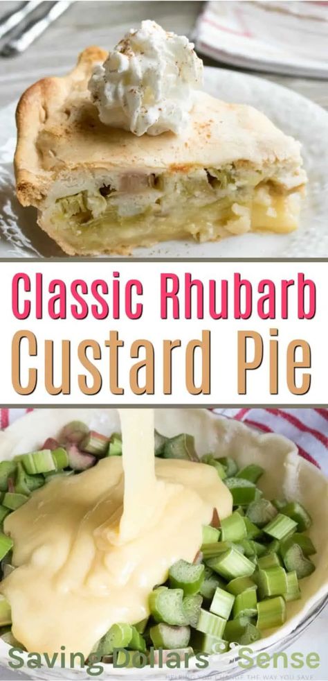 Apple Rhubarb Recipes, Rhubarb Custard Pie Recipe, Rhubarb Custard Bars, Custard Bars, Rhubarb Custard Pie, Rhubarb Desserts Recipes, Rhubarb Custard Pies, Rhubarb Recipes Pie, Custard Pie Recipe