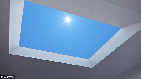 The CoeLux technology also creates an illusion of depth to make the 'sun' appear to be far away. It can specifically mimic the brightness and quality of light from the Tropics, Mediterranean and northern Europe Artificial Skylight, Fake Window Light, French Beach House, Home Office Shed, Sun And Sky, Office Shed, Fake Window, Faux Window, Diy Tech