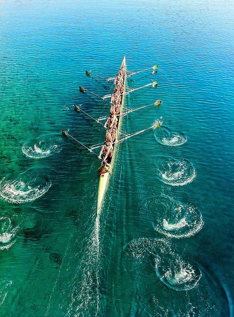 Rowing Photography, Water Bug, Rowing Crew, Row Row Your Boat, A Course In Miracles, Basque Country, Sports Art, Rowing, Many People