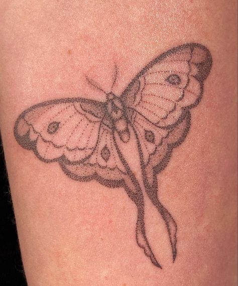 Moth Tattoo Luna, Whimsical Butterfly Tattoo, Taboo Tattoo, Mother Nature Tattoos, Whimsical Butterfly, Matching Sister Tattoos, Pretty Tattoos For Women, Moth Tattoo, Cute Little Tattoos