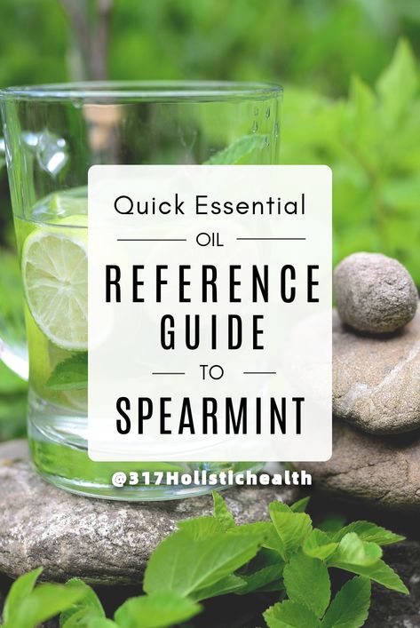 How to use spearmint oil? How To Make Spearmint Essential Oil, Spearmint Oil Uses, Spearmint Essential Oil, Essential Oil Blends Recipes, Infused Oils, Oil Uses, Essential Oil Recipes, Oil Recipes, Essential Oil Blends