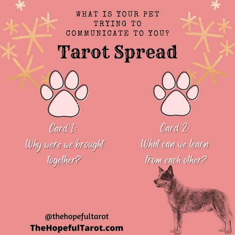 Pet Tarot Spread, Magical Lifestyle, Animal Language, Tarot Spreads Layout, Animal Tarot Cards, Animal Tarot, Animal Communication, Card Meanings, Tarot Spread