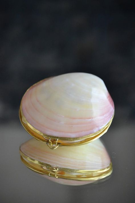 Shell Ring Box, Ring Carrier, Beach Party Gifts, Engagement Ring Holder, Seashell Ring, Engagement Box, Beach Craft, Engagement Ring Holders, Proposal Ring Box