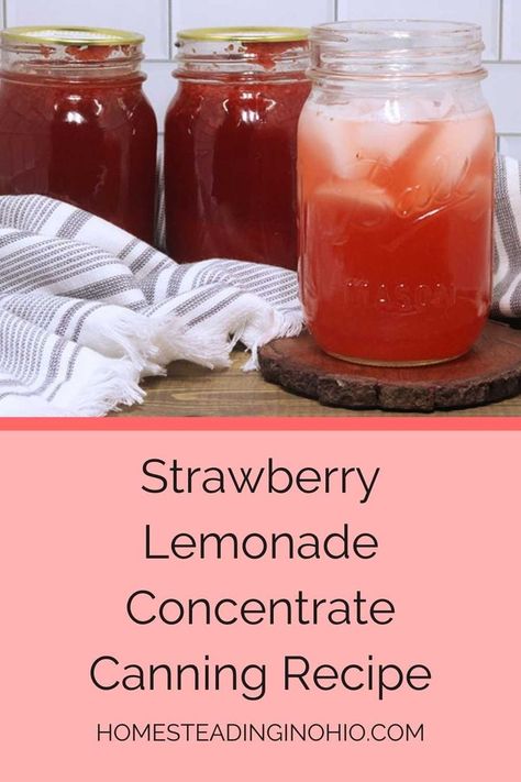 Lemonade Concentrate Canning, Strawberry Lemonade Concentrate Recipe, Strawberry Lemonade Concentrate, Lemonade Concentrate Recipe, Strawberry Limeade, Homemade Strawberry Lemonade, Strawberry Lemonade Recipe, Canned Strawberries, Fresh Strawberry Recipes