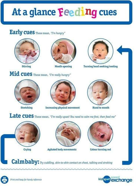 Hunger cues Baby Hunger Cues, Newborn Cues, Hunger Cues Baby Newborns, Feeding Infant Guide, Feeding Cues, Feeding Tube Formula, Hunger Cues, Breastfeeding Latch Tips Newborns, Nanny Life