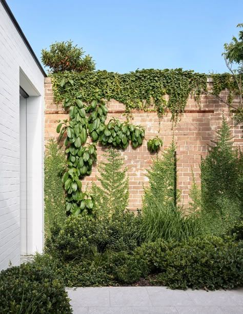 Walled Garden House, Parking Courtyard, Courtyard Between Buildings, Industrial Courtyard Garden, Industrial Courtyard, High Walled Courtyard Garden, Apartment Courtyard, London Courtyard, Courtyard Home