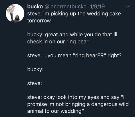 stevebucky | Tumblr Steve Rogers X Bucky Barnes, Bucky X Steve, Howling Commandos, Steve X Bucky, Stucky Fanart, Steve And Bucky, Marvel Headcanon, Bucky And Steve, Funny Marvel Memes