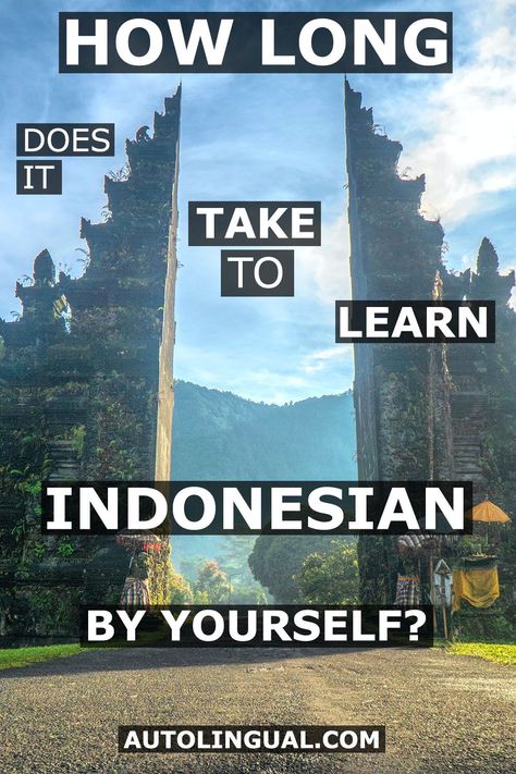 The Indonesian language is known as being a relatively easy language to learn despite it's being very different from English. But how long will it actually take the average learner to learn the Indonesian language by him or her-self? Indonesian Language Learning, Learning Indonesian, Polyglot Tips, Learn Indonesian, Best Language Learning Apps, Language To Learn, Foreign Language Teaching, Language Learning Apps, Indonesian Language