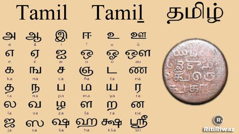 Which language came first – Sanskrit or Tamil? It’s an unlikely debate that has raged for centuries. In the past, most have simply assumed that Tamil language must have borrowed from Sanskrit. But, no proper analysis has been made to prove its certainty. Anyone who is familiar with the Sanskrit literature is quite certain of […] The post Difference Between Tamil and Sanskrit first appeared on Difference Between. Tamil To Hindi Learning, Assamese Language, Pali Language, Tamil Grammar, Tamil Alphabets, Tamil Language History, Learn Tamil, Dravidian Languages, Kannada Language