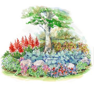 Plan for a low-maintenance shade garden with this small-space garden plan! This shade garden blooms in the summer with bright buds and little work or care required from you! Get this free garden plan with area requirements and a list of all the flowers you will need. Shade Garden Design, Flower Garden Plans, Garden Plan, Garden Shrubs, Shade Trees, Charming Garden, Front Yard Garden, Woodland Garden, Small Space Gardening