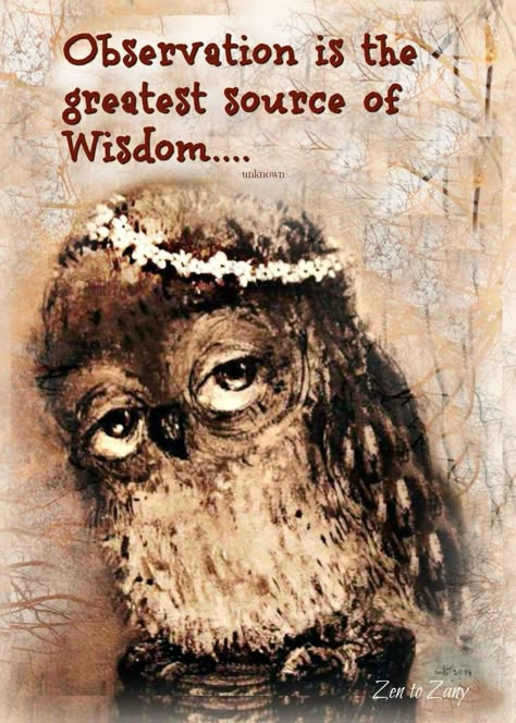 Agreed Owl Quotes, Owl Wisdom, Tattoo Animal, Owl Artwork, Trendy Tattoo, Owl Pictures, Owl Art, Good Thoughts Quotes, Best Tattoo