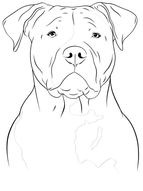 American Bully Drawing, American Bully Tattoo, Bully Drawing, Bully Xl, Women Half Sleeve, Tattoos For Women Half Sleeve, Bully Dog, Floppy Ears, Tattoo Outline