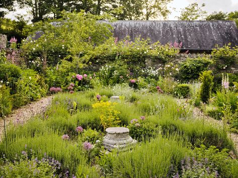 Hay Meadow, Sunny Garden, Manor Garden, Climbing Hydrangea, Dartmoor National Park, Meadow Garden, Gravel Garden, Garden Drawing, Veg Garden