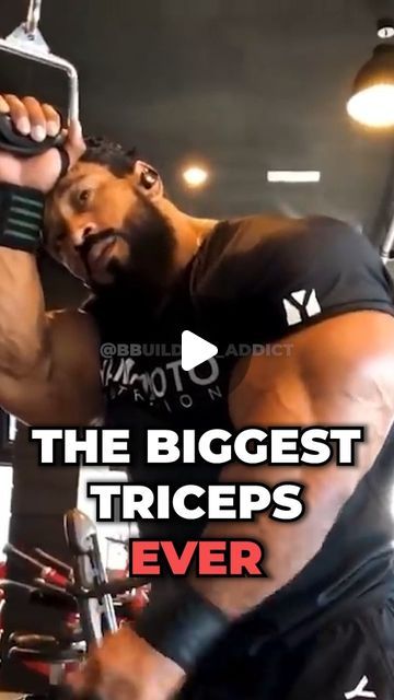 Bicep Superset Workout, Tricep Workout Men, Workout For Men, Triceps Workout Gym, Tricep Workout Gym, Best Bicep Workout, Back Workout Bodybuilding, Chest And Tricep Workout, Workout Arms