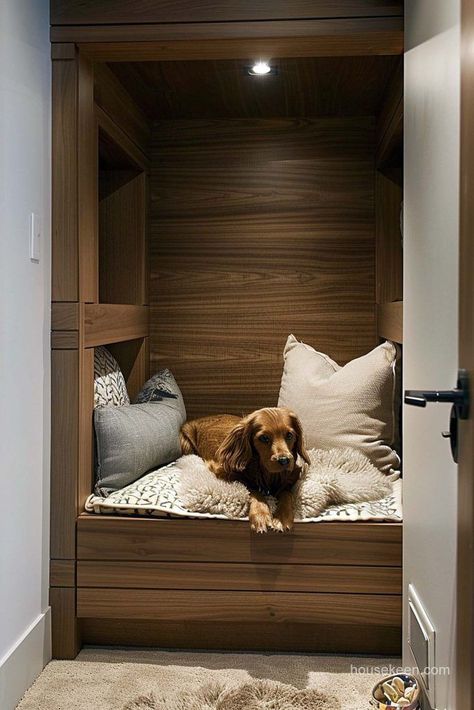 A portion of this large walk-in closet has been redesigned to contain a separate hygienic space customized for canine use. Dog Room, Dog Rooms, Love Your Pet, Dogs Love, Friendly Design, Walk In Closet, Walk In, Pet Friendly, Kitchen Ideas