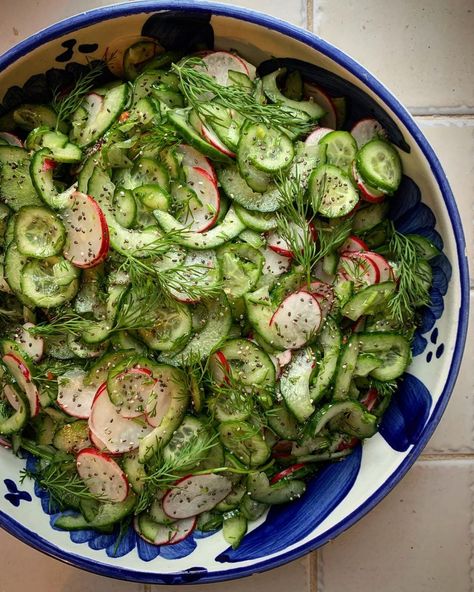 Skye • recipes & food on Instagram: “Do you like your salad crunchy? 🥒 Slightly pickled cucumber & radish • chia seeds • dill Using a mix of little Persian cucumbers and…” Persian Cucumbers Recipe, Cucumber Radish Salad, Cucumber Plant, Radish Salad, Persian Cucumber, Pickling Cucumbers, Cucumber Recipes, Chia Seeds, Gluten Free Dairy Free