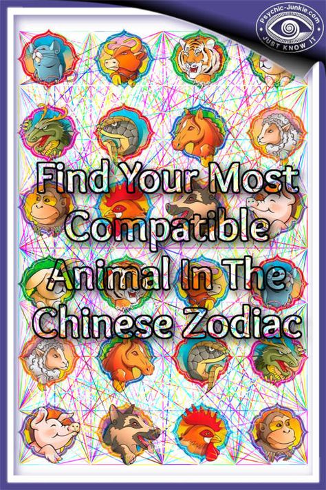 Chinese zodiac signs can reveal your relationship compatibility. Determine how good of a match an animal would make for friends, lovers, or business partners. Chinese Zodiac Signs Compatibility, Love Compatibility Test, Chinese Zodiac Compatibility, Star Sign Compatibility, Zodiac Love Matches, Zodiac Compatibility Chart, Element Signs, Compatibility Test, Zodiac Love Compatibility