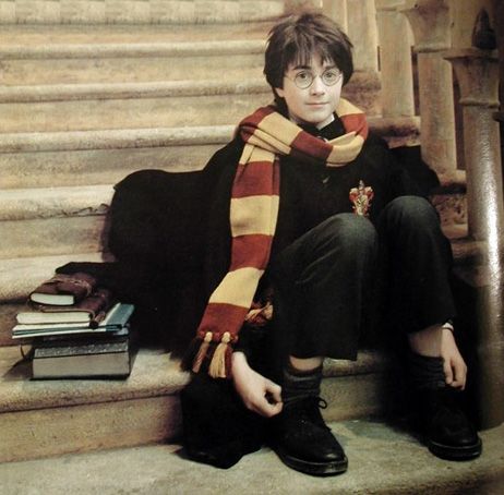 Harry Potter Fanları, Citate Harry Potter, Buku Harry Potter, Yer A Wizard Harry, Images Harry Potter, Haikou, Harry James Potter, Harry Potter Pictures, Harry Potter Cast