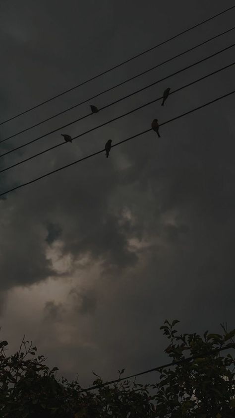 Cloudy Aesthetic Dark, Rainy Day Nature Pictures, Dark Cloudy Sky Aesthetic, Rainy Day Clouds, Monsoon Aesthetic, Cloudy Sky Aesthetic, Dark Sky Background, Fly Photography, Rainy Sky