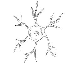 505 Drawing Of Neurons Illustrations & Clip Art - iStock 505 Drawing, Neuron Drawing, Brain Drawing, School Advice, Kids Studio, Background Drawing, Seamless Background, Free Vector Graphics, Nerve