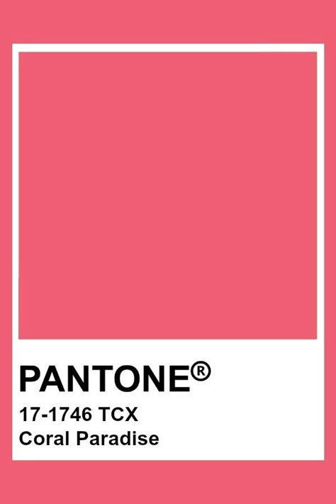 Peach Pantone Color, Peach Pantone, Tcx Pantone, Pantone Tcx, Pantone Color Chart, Pantone Swatches, Pantone Palette, Pantone Colour Palettes, Pantone Colors