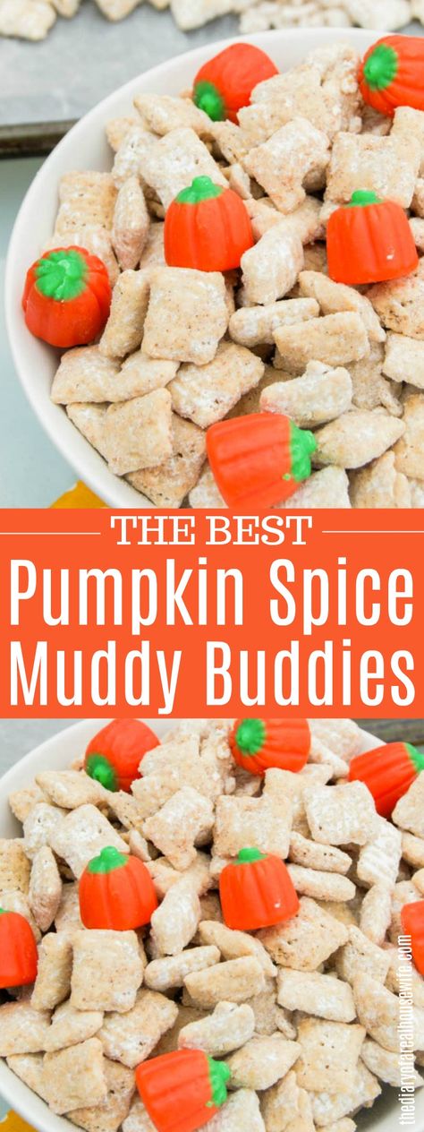 Pumpkin Spice Muddy Buddies. I love this recipe. It's perfect for fall. #pumpkin Peanut Butter White Chocolate, Muddy Buddies Recipe, White Chocolate Covered, Fall Fun Food, Puppy Chow Recipes, Pumpkin Recipes Easy, Easy Autumn Recipes, Muddy Buddies, Pumpkin Chocolate Chip