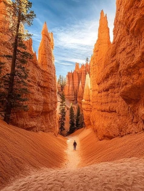 Bryce Canyon National Park | Navajo loop trail in Bryce Canyon National Park, Utah 🇺🇸 | Facebook Utah Aesthetic, Bryce National Park, Utah Summer, Utah Parks, Zion Park, Mini Diorama, National Park Trip, Utah Adventures, National Parks Photography