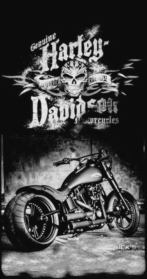 Cat Scrapbook, Moto Harley Davidson, Harley Davidson Images, Мотоциклы Harley Davidson, Harley Davidson Pictures, Harley Davidson Wallpaper, Harley Davidson Art, Hot Rods Cars Muscle, Half Sleeve Tattoos For Guys